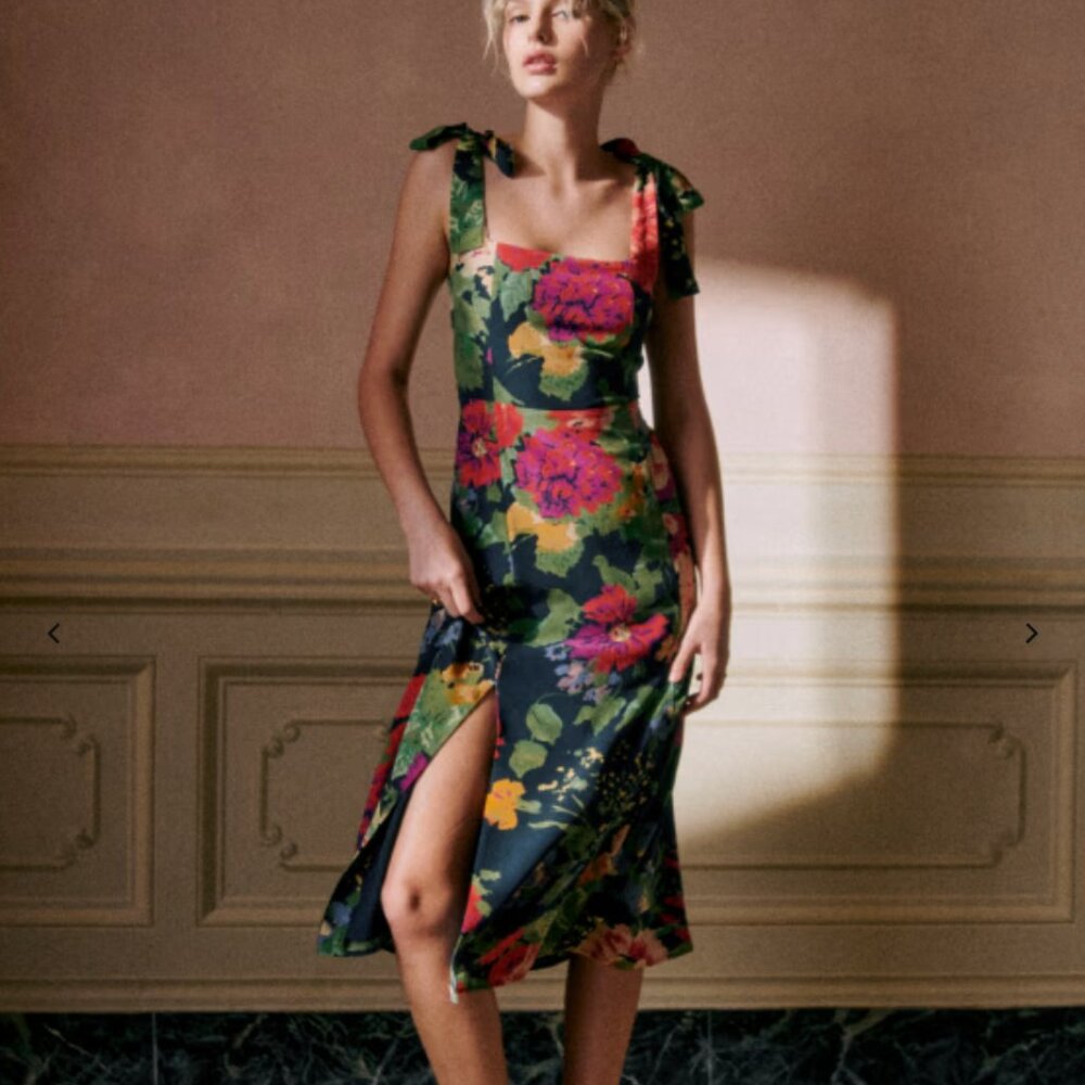 Sezane Dorotha Dress- Trianon print- size 4